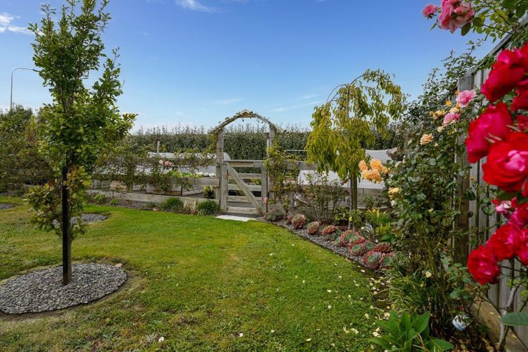 Photo of property in 4 Pukeko Way, Amberley, 7410