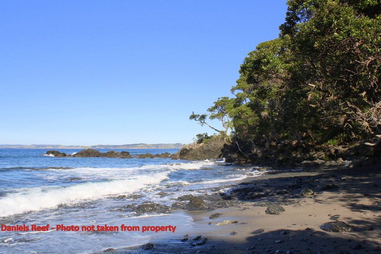 Photo of property in 80-82 Lax Crescent, Leigh, 0985