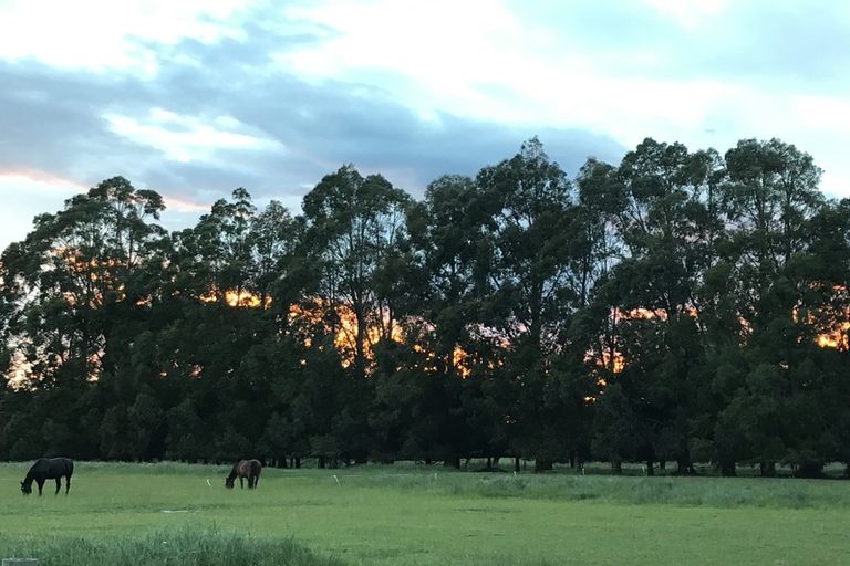 Photo of property in 255 Inglis Road, Okuku, Rangiora, 7473
