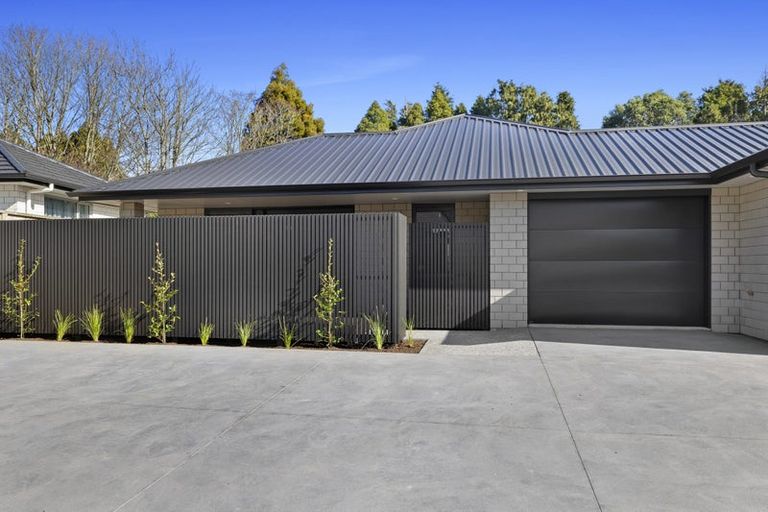 Photo of property in 21b Sycamore Grove, Lower Vogeltown, New Plymouth, 4310