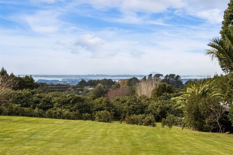 Photo of property in 360c Wharawhara Road, Tahawai, Katikati, 3178