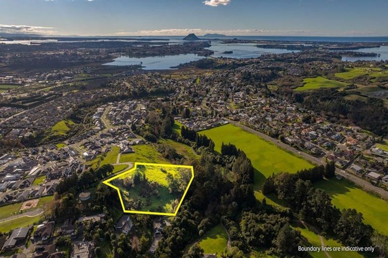 Photo of property in 99 Carmen Way, Ohauiti, 3112