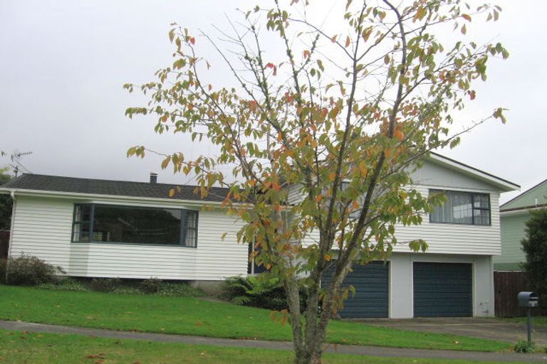 Photo of property in 19 Balliol Drive, Tawa, Wellington, 5028