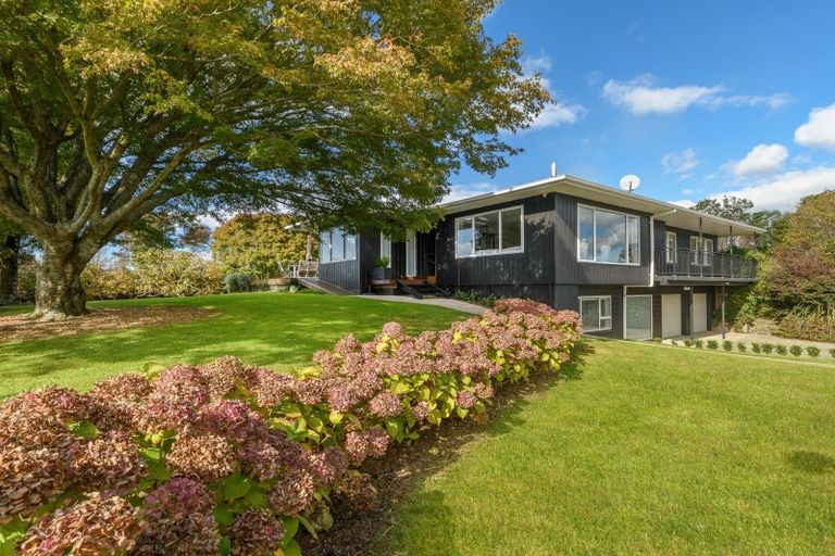 Photo of property in 86 Prole Road, Omokoroa, Tauranga, 3172