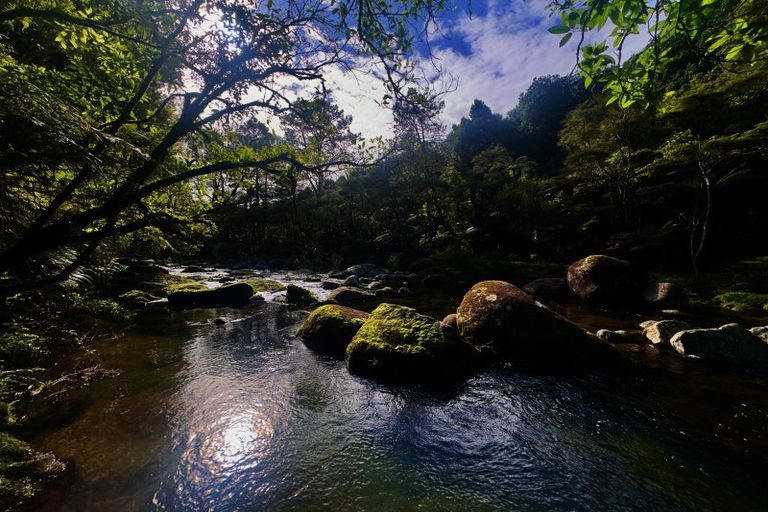 Photo of property in 717 Wright Road, Aongatete, 3181