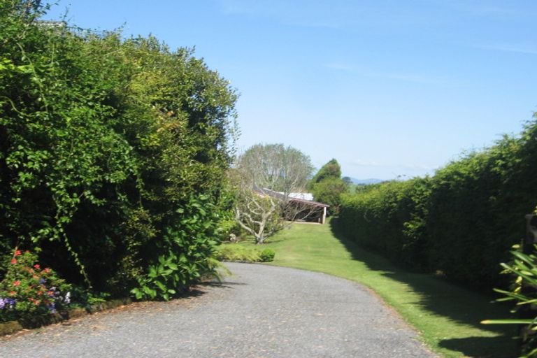 Photo of property in 375 Whakamarama Road, Whakamarama, Tauranga, 3179