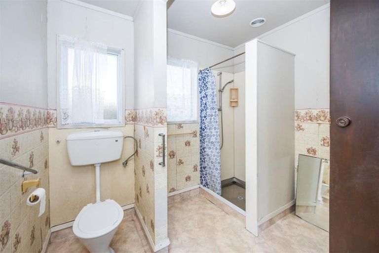 Photo of property in 23 Hinau Street, Maeroa, Hamilton, 3200