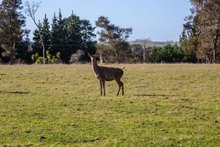 Photo of property in 707 Norfolk Road, Upper Plain, Carterton, 5791