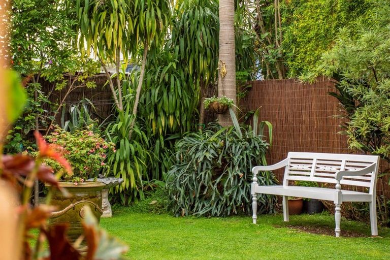 Photo of property in 22b Twelfth Avenue, Tauranga South, Tauranga, 3112