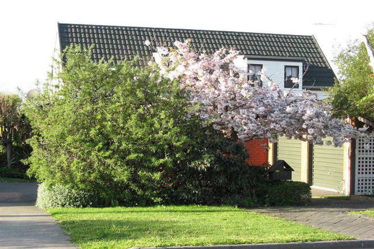 Photo of property in 179 Hospital Road, Witherlea, Blenheim, 7201