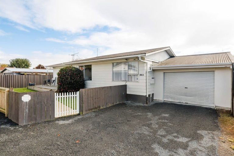 Photo of property in 384a Kahikatea Drive, Dinsdale, Hamilton, 3204