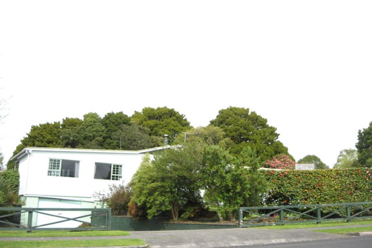 Photo of property in 17 Konini Street, Inglewood, 4330