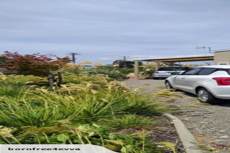 Photo of property in 29 Herbert Street, Eketahuna, 4900
