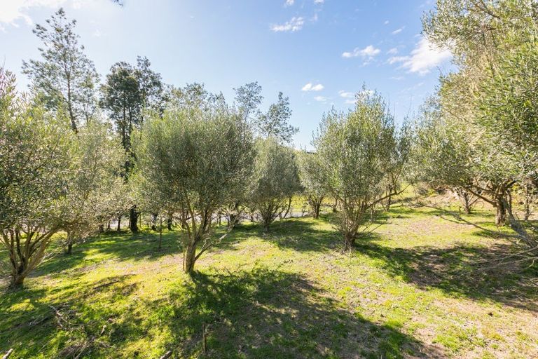 Photo of property in 21 Eagle Street, Waipawa, 4210