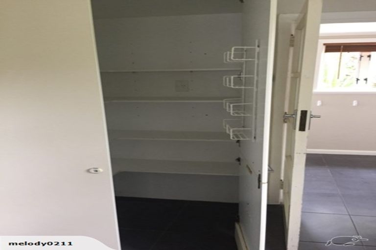 Photo of property in 17 Massey Avenue, Greenlane, Auckland, 1061