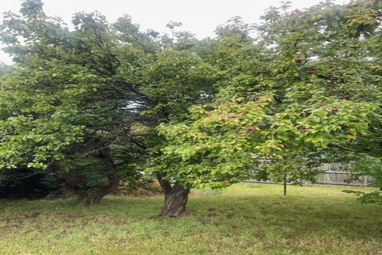 Photo of property in 10 Beech Street, Wanaka, 9305