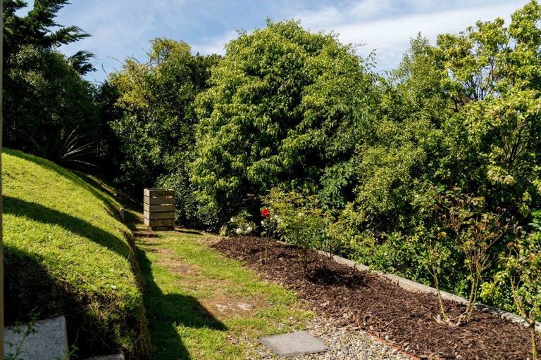 Photo of property in 41 Shandon Road, Vauxhall, Dunedin, 9013