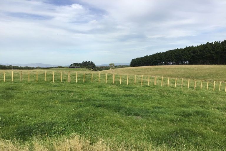 Photo of property in 172 Stewart Road, Feilding, 4479