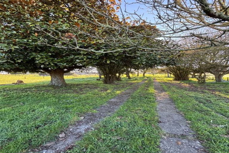 Photo of property in 30 Pellikan Place, Tokoroa, 3491