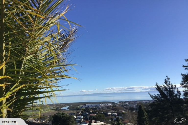 Photo of property in 308 Grafton Road, Thames, 3500