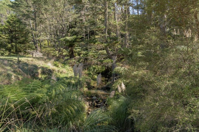 Photo of property in 403 Purangi Road, Purangi, Whitianga, 3591