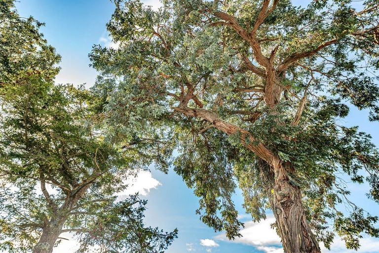 Photo of property in 36 Stewart Street, Aramoho, Whanganui, 4500