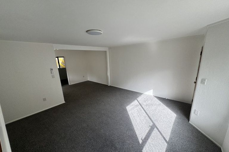 Photo of property in 43a Liardet Street, Vogeltown, Wellington, 6021