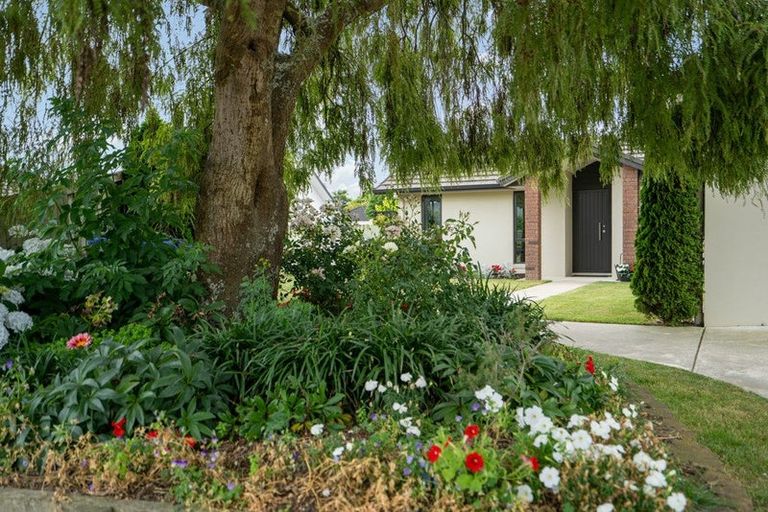 Photo of property in 12 Cotter Place, Cambridge, 3434