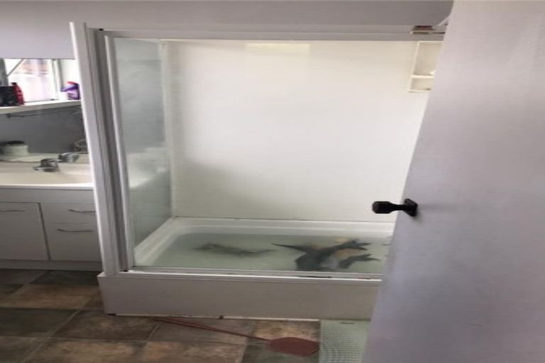 Photo of property in 1 Marlene Avenue, Te Atatu South, Auckland, 0610