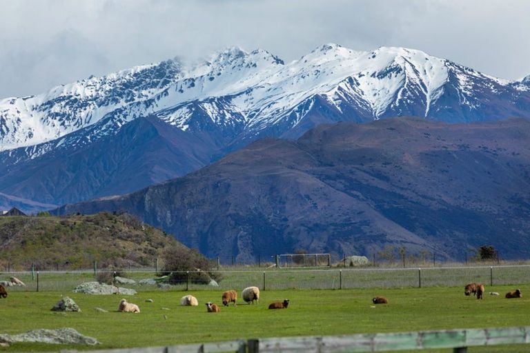 Photo of property in 182 Stevenson Road, Wanaka, 9382