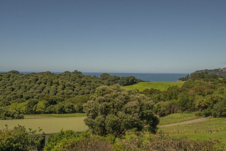 Photo of property in 441 Onemana Drive, Onemana, Whangamata, 3691