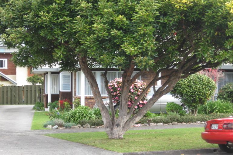 Photo of property in 14b Fourth Avenue, Tauranga, 3110