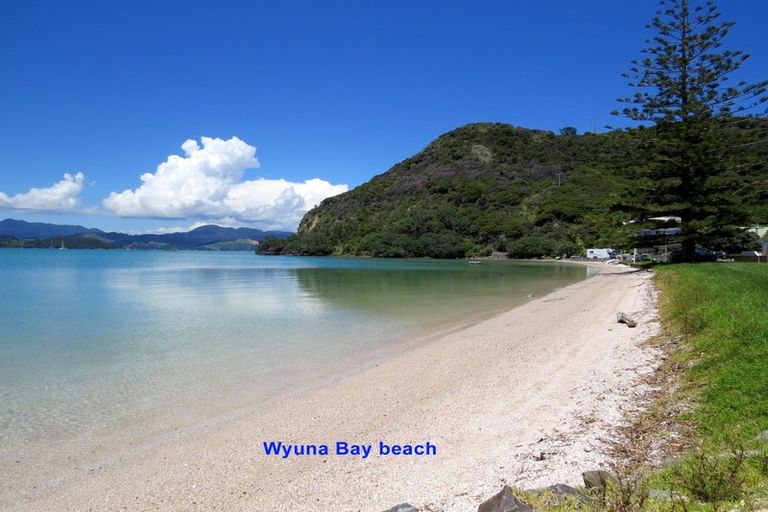 Photo of property in 155 Mannion Road, Wyuna Bay, Coromandel, 3581