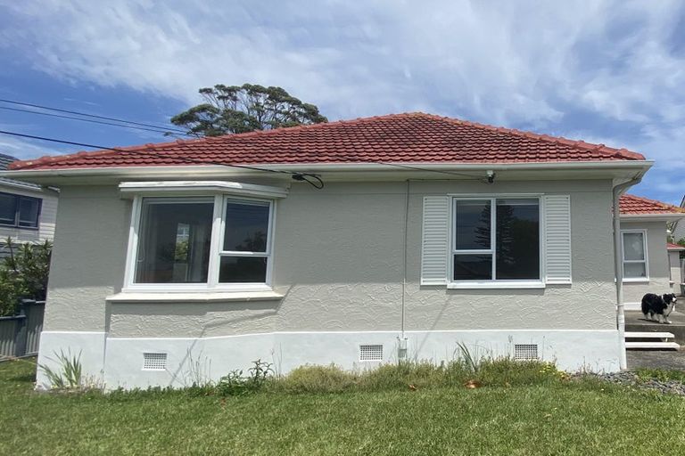 Photo of property in 22 Niccol Avenue, Narrow Neck, Auckland, 0624