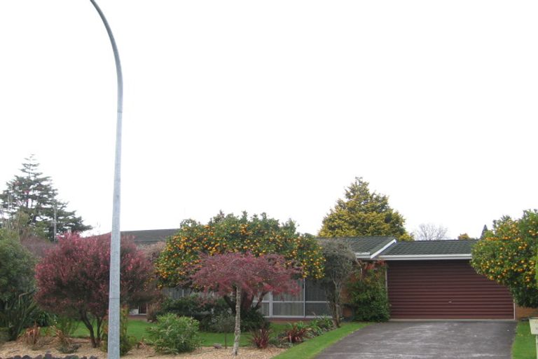 Photo of property in 10 Mahoe Street, Matua, Tauranga, 3110