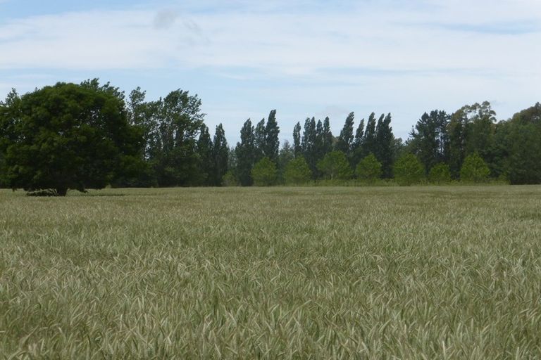 Photo of property in 72 Grahams Road, Tinwald, Ashburton, 7774