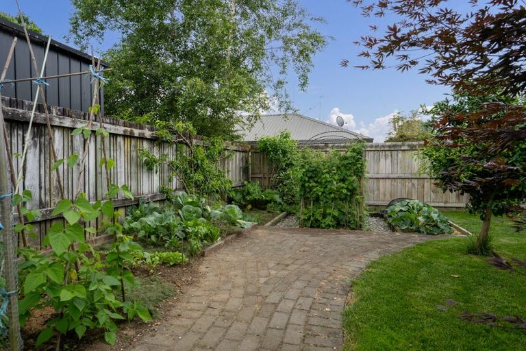 Photo of property in 71 Carlyle Street, Leamington, Cambridge, 3432