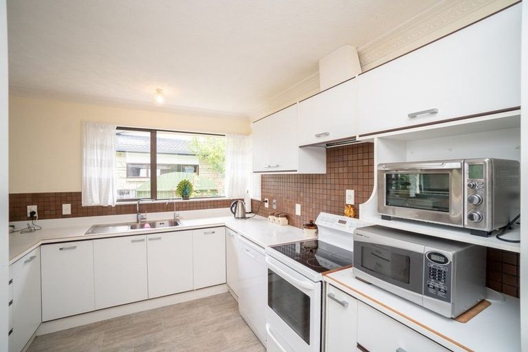 Photo of property in 100 Monrad Street, Highbury, Palmerston North, 4412