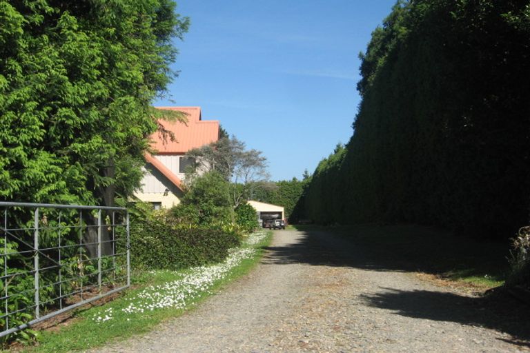 Photo of property in 385 Whakamarama Road, Whakamarama, Tauranga, 3179