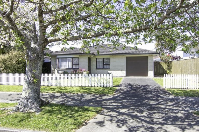 Photo of property in 85 Guy Avenue, Takaro, Palmerston North, 4410
