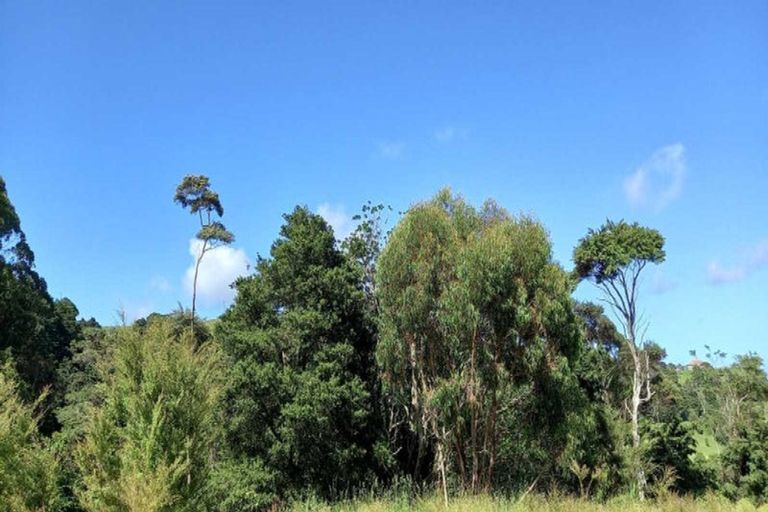 Photo of property in 91a Bald Hill Road, Waiuku, Pukekohe, 2678