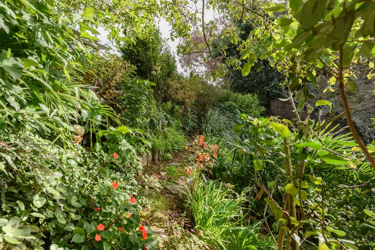 Photo of property in 74 Orange Lane, Bethlehem, Tauranga, 3110