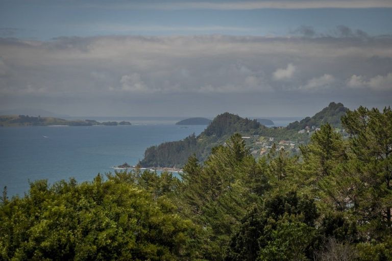 Photo of property in 127 Pumpkin Hill Road, Pumpkin Hill, Whitianga, 3591