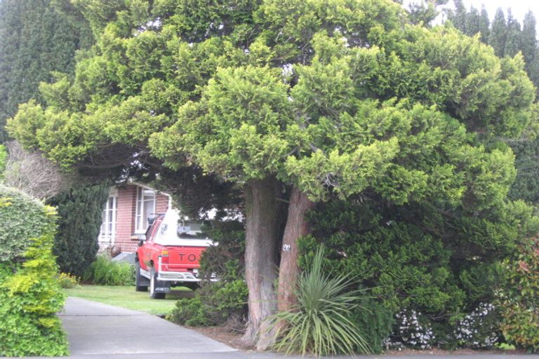 Photo of property in 25 Springbank Street, Bryndwr, Christchurch, 8053