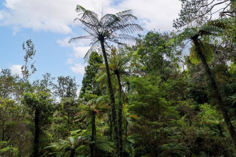 Photo of property in 221 Lindemann Road, Tahawai, Katikati, 3170