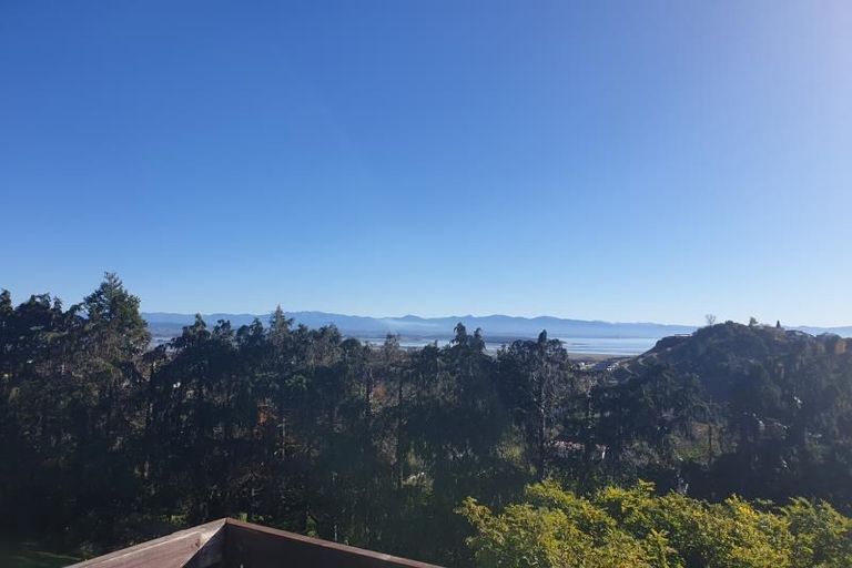 Photo of property in 62 Newman Drive, Enner Glynn, Nelson, 7011