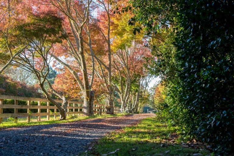 Photo of property in 107 Windmill Road, Tamahere, Hamilton, 3283