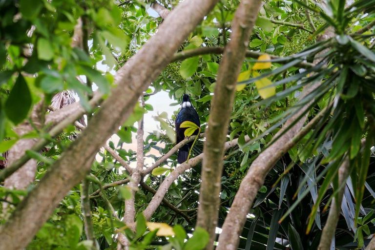 Photo of property in 16 Leaming Place, Clarks Beach, 2122