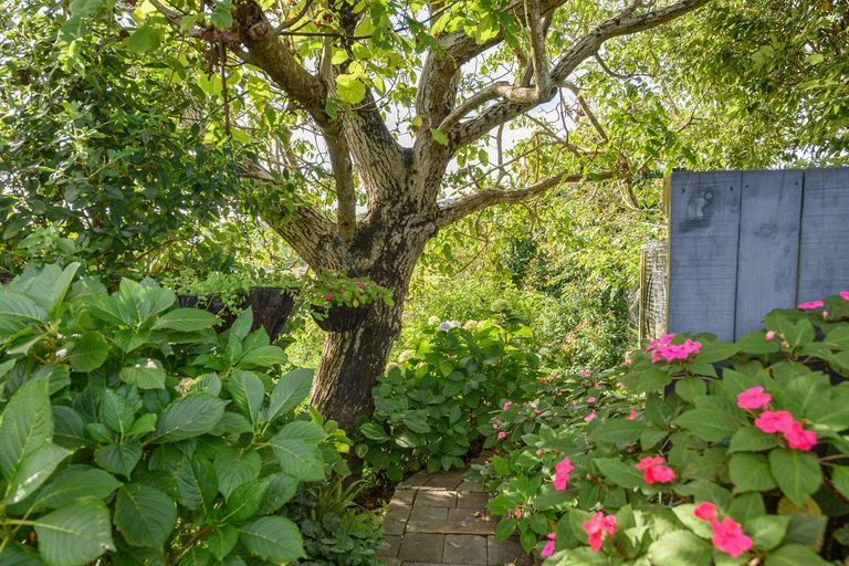 Photo of property in 74 Orange Lane, Bethlehem, Tauranga, 3110