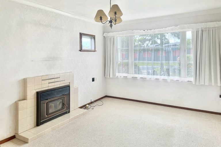 Photo of property in 259 Boucher Avenue, Te Puke, 3119